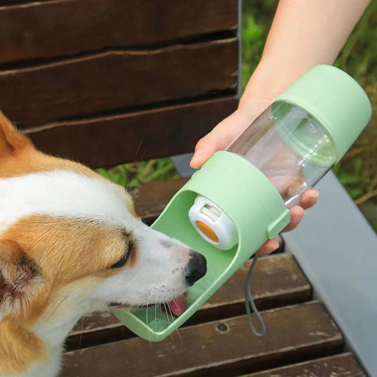 Gourde 2-en-1 pour Chien & Chat